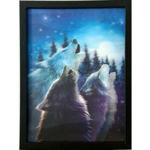 Poster med ramme i 3D, Ulende Ulver