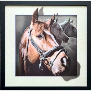 Poster med ramme i 3D, Ramme med hesthode