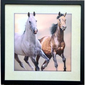 Poster med ramme i 3D, Ramme med 2 hester