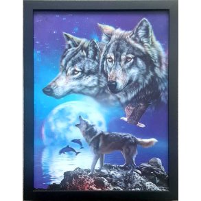 Poster med ramme i 3D, Ulver & Delfiner