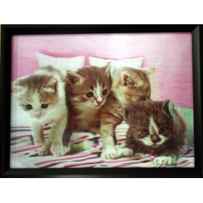 Poster med ramme i 3D, Katter I Sengen