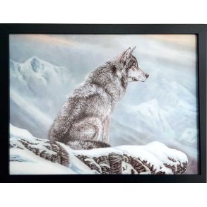 Poster med ramme i 3D, Ensom Ulv