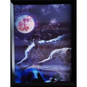 Poster med ramme i 3D, Moon Light Wolvs