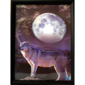 Poster med ramme i 3D, Ensom Ulv I Mnelys