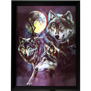 Poster med ramme i 3D, 3 Night Wolvs