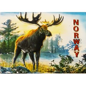 Resin 3D magnet, Elg