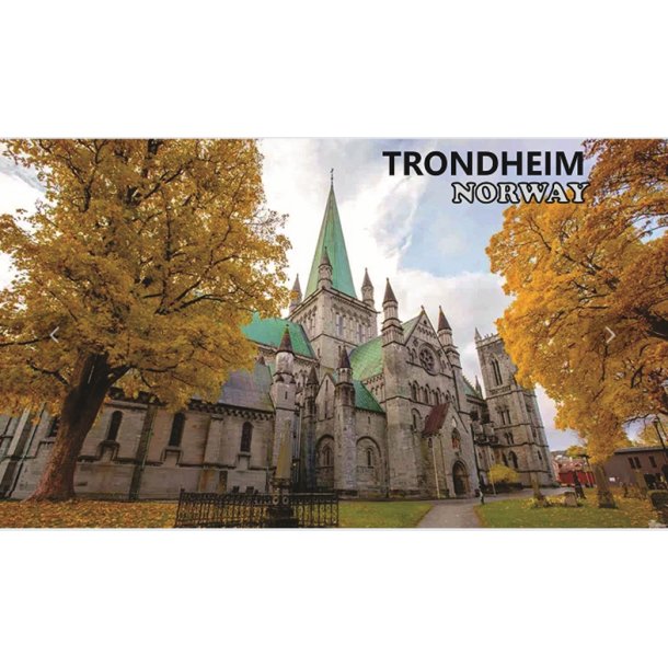 Magnet, acryl, Nidarosdommen