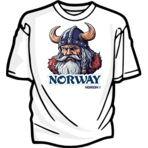 New Viking Era, VIKING