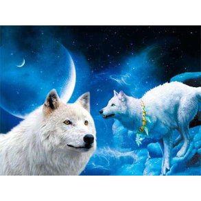 Poster med ramme, Wolf in Sky