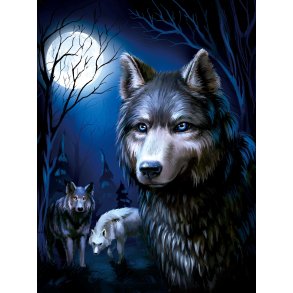 Poster med ramme, Dark Wolf