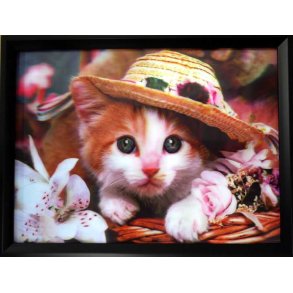 Poster med ramme i 3D, Katt med hatt