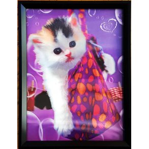Poster med ramme i 3D, Cat i a bag