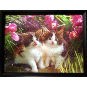 Poster med ramme i 3D, Cat garden