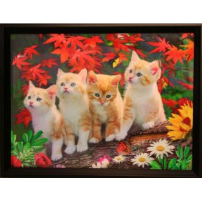 Poster med ramme i 3D, Kitten Family