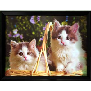 Poster med ramme i 3D, Basket Cats