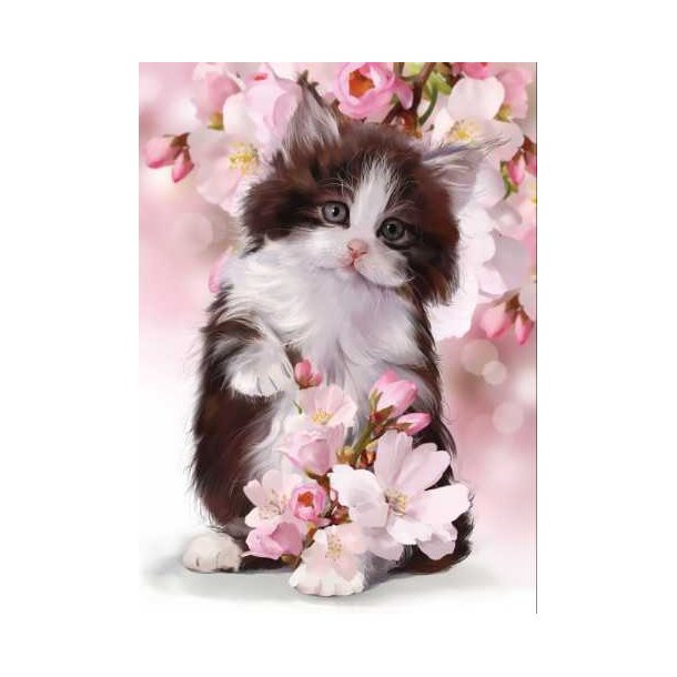Poster med ramme, Lilly Cat